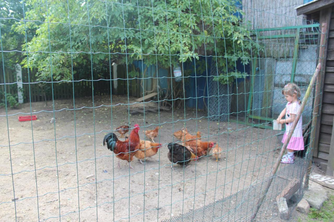 Agroturystyka Kociewiak Szteklin المظهر الخارجي الصورة
